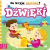 Co kryją okienka? Dźwięki
